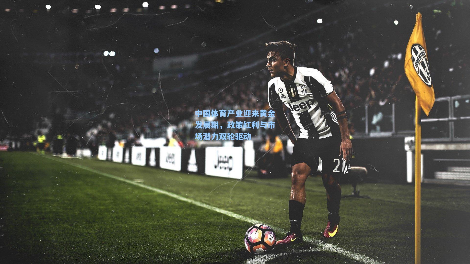 中国体育产业迎来黄金发展期,政策红利与市场潜力双轮驱动